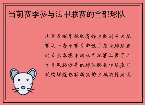 当前赛季参与法甲联赛的全部球队