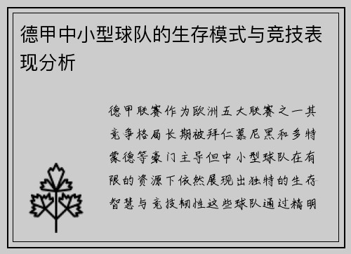 德甲中小型球队的生存模式与竞技表现分析